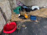 Health Update | My Shetland