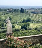 The Story of Livio Felluga and the Abbey of Rosazzo — The Wine Chef