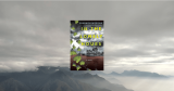 In the Lonely Hours by Shannon Morgan | Book Review