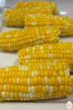 Instant Pot Corn on the Cob 