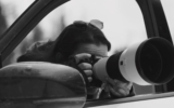 Wildlife Photographer Takes Jeep Cherokee Hybrid Deep In the Woods