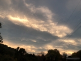 Feeling climate: poetic resonance and the affectivity of climate change