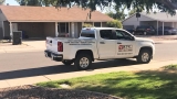 Essential Strategies to Keep Your Home Pest-Free in 2026