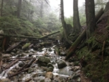 Hitting those Vancouver Trails! The 11 Best Hikes in Vancouver for 2018