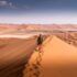 The Importance Of Individual Diligence And Responsibility