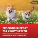 My Experience with Dog Kidney Probiotics: Why I Chose Azodyl for Kidney Support