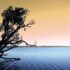 10 Innovative Canadian Brands Building Things That Could Change the World