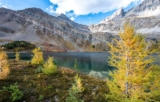 Hidden Lake Hike & Camping in Banff: A Larch-Season Backpacking Guide