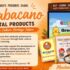 Does ORIGIN Provide Termite Baiting in Singapore?