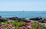Coastal Maine Road Trip Itinerary with Kids: 6–9 Day Guide
