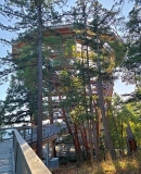 Sightseeing the Malahat SkyWalk on Vancouver Island