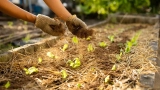 What to Add to the Field in March