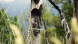 Pyropoetic Resonances: Humility, Affect, and Being in the Field (on Fire)