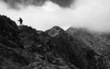 How America Became the Progenitor of Environmentalism