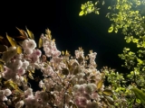 Mother Tales: An (Auto)Ethnographic Exploration of Poetic Resonance, Loss, and Existential Time