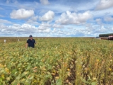Micropep starts regulatory process of peptide-based biofungicide