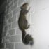 MoMA Opens ‘It’s Alive!’ Century Of Animation Exhibition