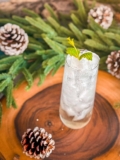 Mint & Pine Snowfall Spritz Recipe (Gin Cocktail)