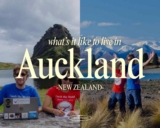 Living in Auckland, New Zealand: what’s it really like from a European perspective