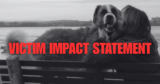 My Victim Impact Statement Christopher Mulley Convicted of Criminal Harassment Ottawa
