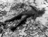 After Nagasaki: Against the Politics of Psychic Numbing