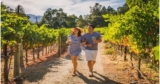 Why people should go to tasting in Napa?