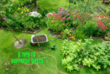 6 Tips on How to Finally Suppress the Growth of Weeds