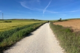 When a Place No Longer Belongs to You: Letting Go of the Past and Moving On After Loss