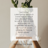 Trading Sorrow for Joy – Pursuing true North