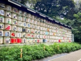 Episode 40: How Do We Do Worldschooling in Japan? – The Wandering Daughter
