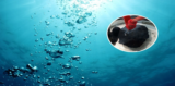 The Discovery of Hidden Sea