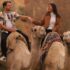 Buying at Copart Auctions in South Dakota: Things to Know
