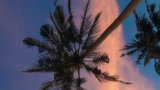 Summer Of Resonance by Faru