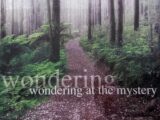 The Wonder of Wonder — Lisa Brockman