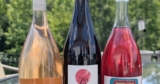 A Sustainable Discovery with Ventiventi