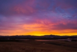 Resurrection Hope and the Beautiful Life (John 11:25-26)