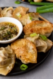 Pan-Fried Pork Dumplings – Girl Carnivore