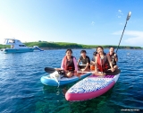 An Adventure Packed with Fun, Food, and Sun! Cheekie Monkies