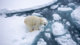 We Are Declaring A Climate Emergency