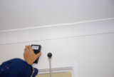 Protecting Your Building From Termites In A High-Moisture Season