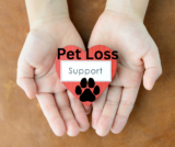 Pet Loss Training – Center for Pet Loss Grief