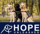 Hope Unleashed Docuseries Launches – Talent Hounds