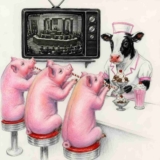 Pigs win U.S. Senate bean-shooter “Showdown at the Not OK Coral”
