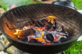 Kentucky Derby BBQ: Grilled Recipes Perfect For Race Day
