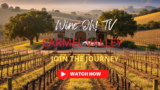 Wild Adventures & Wine in Carmel Valley