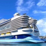 What You Need To Know