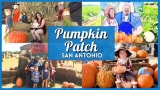Pumpkin Patch San Antonio 2026: Best Farms & Festivals