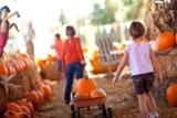 The Best Places to Go Pumpkin Picking in the North West in 2026 – Mini Travellers