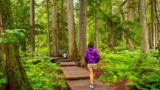 15 National Park Trips With Shuttles And Gentle Walking Paths