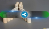 XRP’s Next Move Comes Down to These Key Price Levels: Analyst